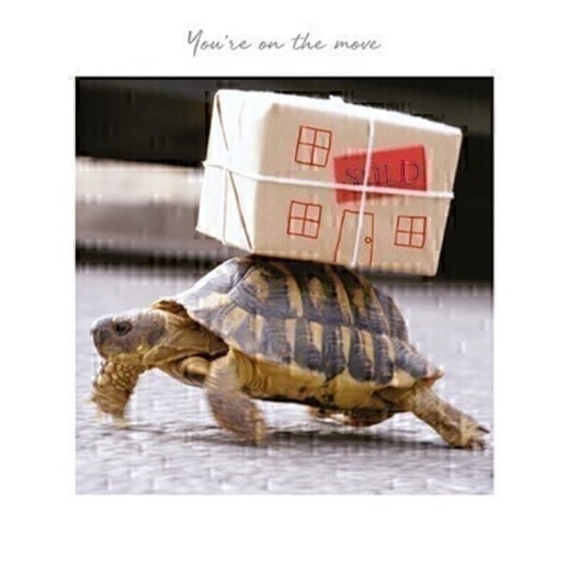 Moving Tortoise New Home Card by Paper Rose This New Home greetings card called Moving Tortoise features a tortoise walking with a house shapped boxed on his back with Youre On The Move written on the front.  This card is perfect to send to someone celebrating moving house and has been left blank inside so you can write your own message. It comes complete with a red envelope and is a lovely card from the Art Group.